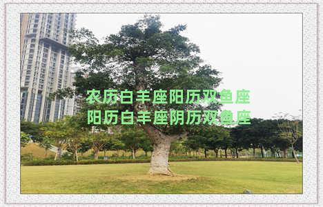 农历白羊座阳历双鱼座 阳历白羊座阴历双鱼座